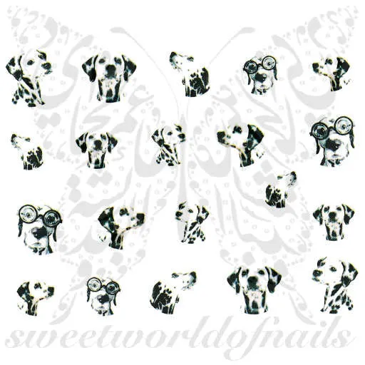 Dalmatian Dog Nail Water Decals Transfers Wraps