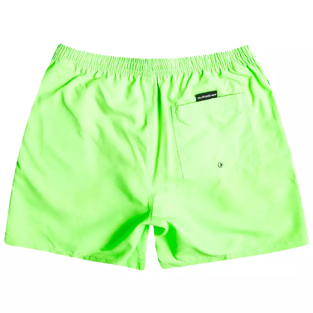 Quiksilver Everyday 17 Volley Swim Shorts