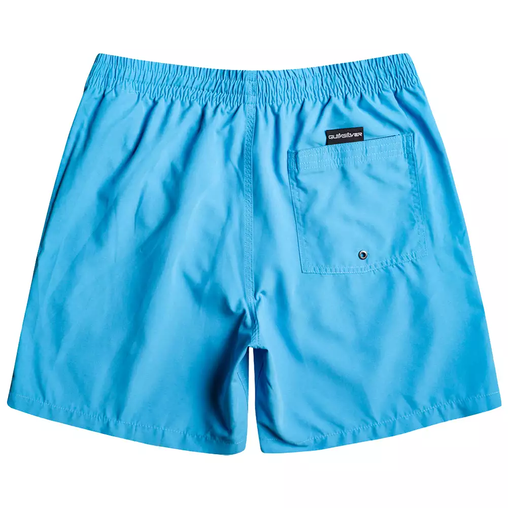 Quiksilver Everyday 17 Volley Swim Shorts