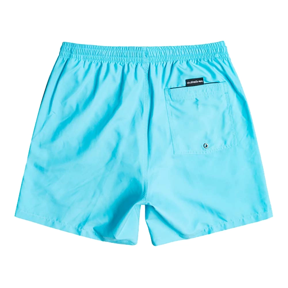 Quiksilver Everyday 17 Volley Swim Shorts