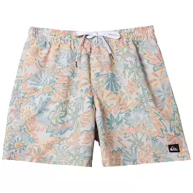 Quiksilver Re-Mix 17 Volley Shorts