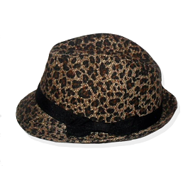 Women Hat